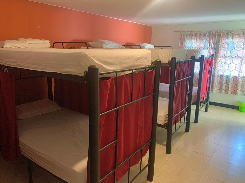 Cama en habitación compartida mixta de 8 camas