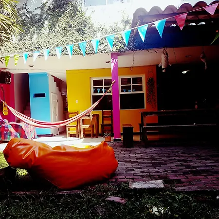 The Pelican Larry Hostel-2